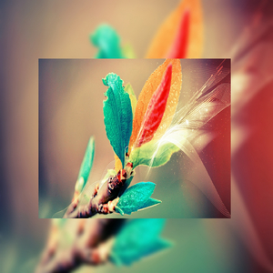 今晚寡妇让你弄个够
