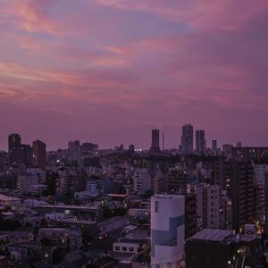 今晚寡妇让你弄个够
