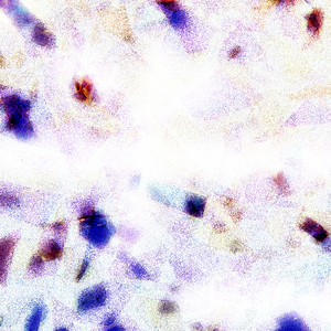 今晚寡妇让你弄个够
