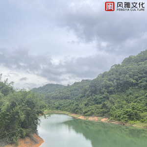 今晚寡妇让你弄个够
